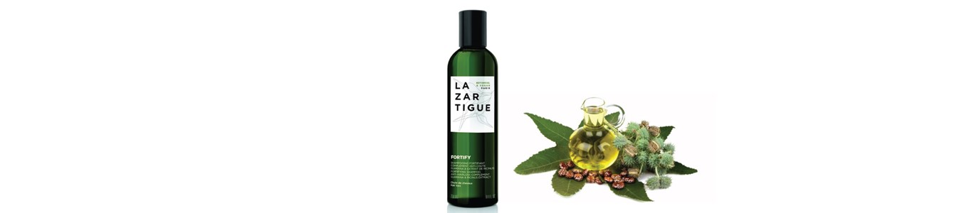 lazartigue stymulactine