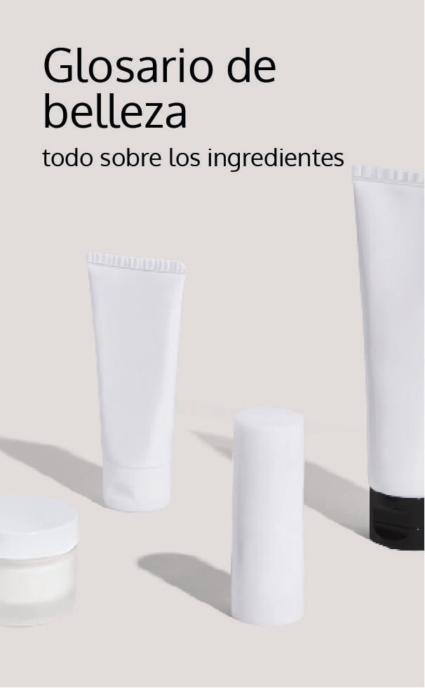 Glossário